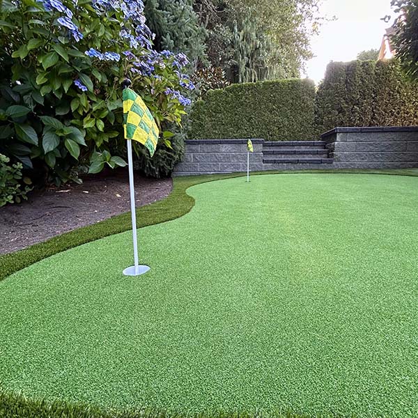 Beautiful backyard with mini golf