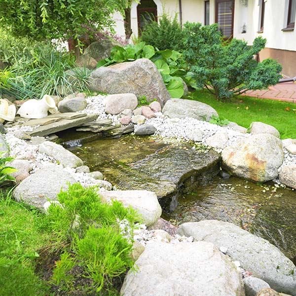 Beautiful country house and garden and pond