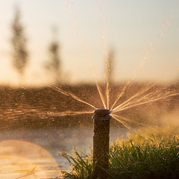 Automatic irrigation system spraying water on lawns