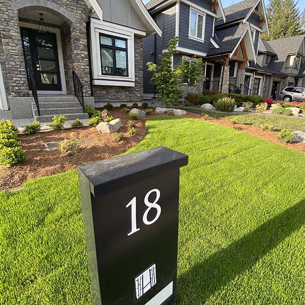garden in front yard