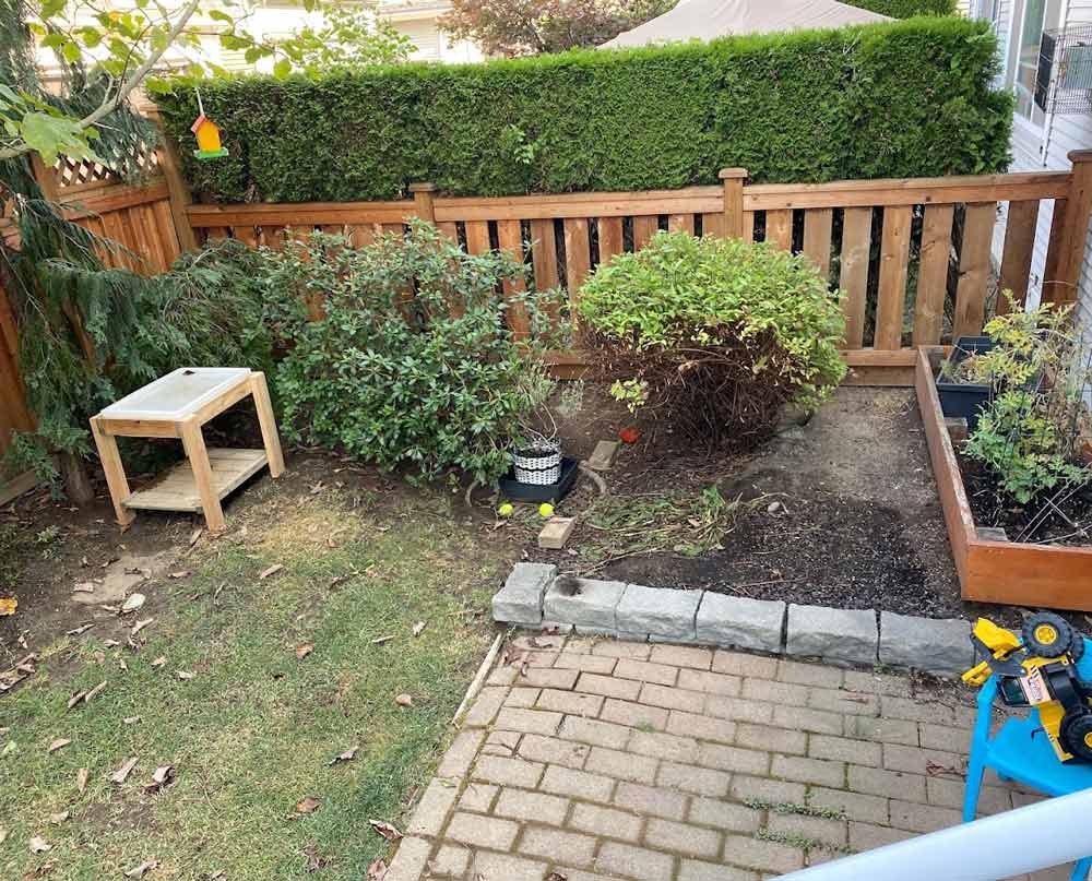 before yard renovation